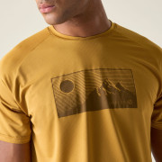 Maglietta da uomo Dare 2b Tech II Tee