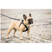 Guinzaglio per cane Curli Adjustable Leash Nylon