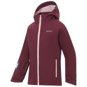 Giacca invernale per ragazze Regatta Girls Trekktain 3-in-1 II FigPowLilac
