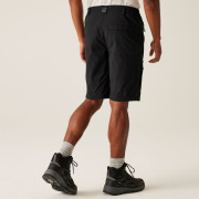 Pantaloncini da uomo Regatta Highton Shorts Long II