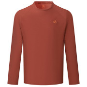 Maglietta da uomo Dare 2b Agile Long Sleeved Tee marrone ArabianSpice