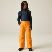 Pantaloni da sci per bambini Dare 2b Outmove III Insulated Pant ElectricOrng