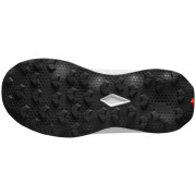 Scarpe da donna Salomon Ultra Flow 2 W