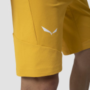 Pantaloncini da uomo Salewa Agner Dst M Shorts.