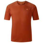 Maglietta funzionale da uomo Dare 2b Trackstand Ace marrone ArabianSpice