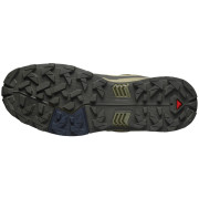 Scarpe da trekking da uomo Salomon X Ultra 5 Gore-Tex