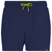 Costume da bagno da uomo Regatta Mawson Swim Shorts III