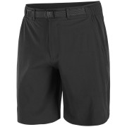 Pantaloncini da uomo Salomon Wayfarer 2.0 short M nero Deep Black