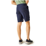 Pantaloncini da uomo Regatta Dalry Short