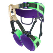 Imbracatura da arrampicata per bambini Beal Neo Kid verde GREEN