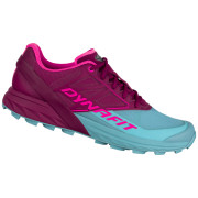 Scarpe da corsa da donna Dynafit Alpine W turchese/vino Beet Red/Marine Blue