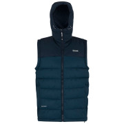 Gilet da uomo Regatta Aldthorn B/W blu MnlgtDen/Nvy