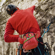 Sacchetto porta magnesite YY VERTICAL Chalk Bag Animal