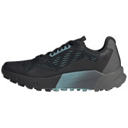 Scarpe da donna Adidas Terrex Agravic Flow 2 GTX W