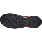 Scarpe da corsa da uomo Salomon X-Adventure Gore-Tex