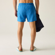 Costume da bagno da uomo Regatta Mawson Swim Shorts III