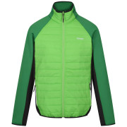 Giacca da uomo Regatta Clumber IV Hybrid verde Jasmine Green/Field Green