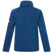 Felpa da bambino Regatta Junior Newhill Aviator Blue Golden Cypress