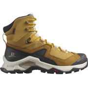 Scarpe da uomo Salomon Quest Element Gore-Tex marrone cumin