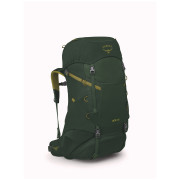 Zaino bambino Osprey Ace 38 verde green canopy/matcha green