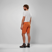 Pantaloncini da uomo Salewa Puez Talveno Dst Shorts M