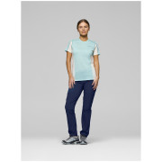 Pantaloni da donna Norrona falketind flex1 light Pants