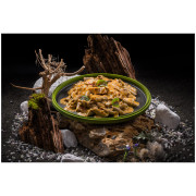 Cibo disidratato Adventure Menu Penne proteiche con farina di grilli con pollo nella salsa cremosa piccante