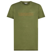 Maglietta funzionale da uomo Icebreaker M 150 Tech Lite SS Tee IBCoordinates verde Sphagnum