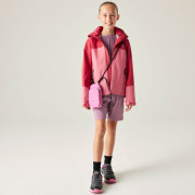 Giacca da bambino Dare 2b Explore III Jacket Rpture/Clart