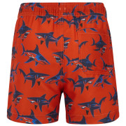 Costume da bagno per bambini Regatta Skander RusOranShark