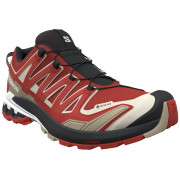 Scarpe da trekking da uomo Salomon Xa Pro 3D V9 Gore-Tex