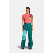 Pantaloni da donna Ortovox W's Westalpen 3L Pants