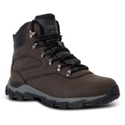 Scarpe da uomo Regatta Holcombe Classic marrone Peat