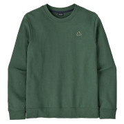 Felpa da uomo Patagonia M's Fitz Roy Massif Daily Crew verde Canopy Green