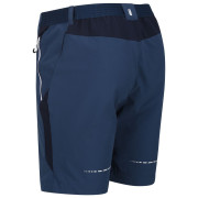 Pantaloncini da uomo Regatta Mountain ShortsII M