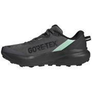 Scarpe da corsa da donna Adidas Terrex Tracefinder Plus Gtx