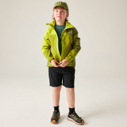 Giacca da bambino Dare 2b Explore III Jacket Golden Cypress