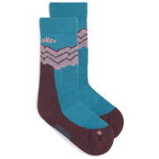 Calzini da donna Icebreaker Women Merino Hike+ Medium Crew Across the Peaks