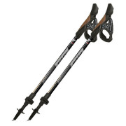 Bastoncini da nordic walking Fizan R-Evolution