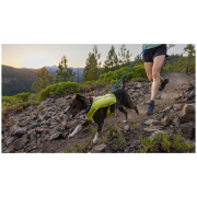 Guinzaglio con ammortizzatore Ruffwear Trail Runner™ Leash