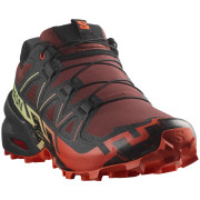 Scarpe da uomo Salomon Speedcross 6