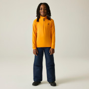 Felpa sportiva per bambini Dare 2b Consist II CoreStrech ElectricOrng