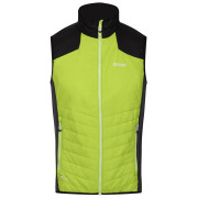 Gilet da uomo Regatta Halton BW VI giallo/nero BriKiwi/Blk