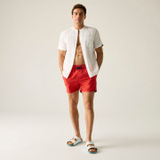 Costume da bagno da uomo Regatta Mawson Swim Shorts III