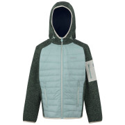 Giacca da bambino Regatta Junior Newhill Hybrid verde chiaro Green Haze