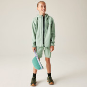Giacca da bambino Dare 2b Kids Switch II Jacket GlacierGreen