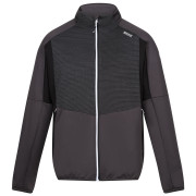 Felpa da uomo Regatta Yare VIII grigio Ash/Black