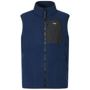 Gilet da uomo Regatta Frankie Borg B/W blu/nero Navy/Black