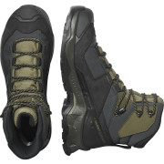 Scarpe da uomo Salomon Quest Element Gore-Tex