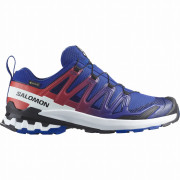 Scarpe da uomo Salomon Xa Pro 3D V9 Gore-Tex Equipe